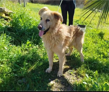 Giorgio 12 anni taglia