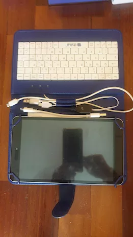 DVD con lettore +palmare