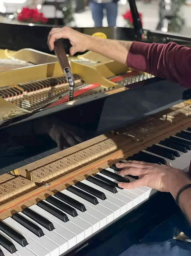 Foto 2Accordatore e manutentore di pianoforti