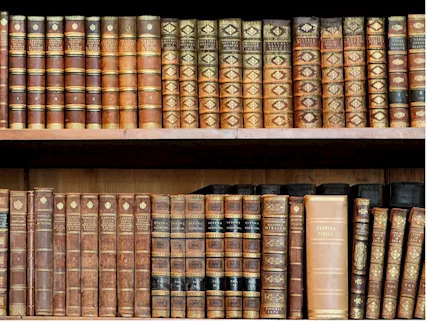 Assistenza e consulenza privata tesi di laurea