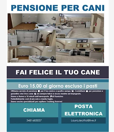 Pensione per cani