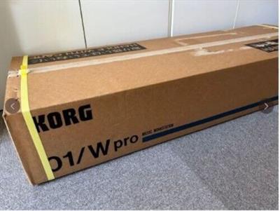 Vendita Korg 01 WPro