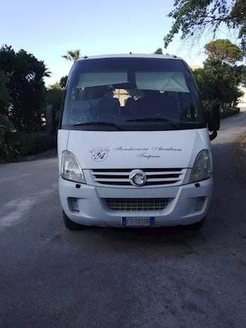 Minibus IVECO posti 25+1 anno 2009