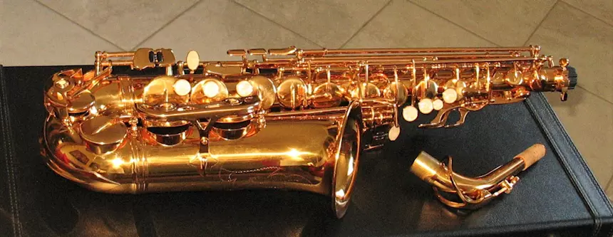 Foto 2SELMER SA80 Style Sax Alto Oro Galvanico Nuovo (Garanzia), modello unbranded