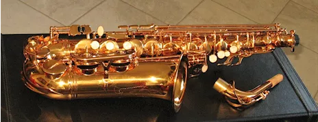 SELMER SA80 Style Sax Alto Oro Galvanico Nuovo (Garanzia), modello unbranded - Anteprima 2