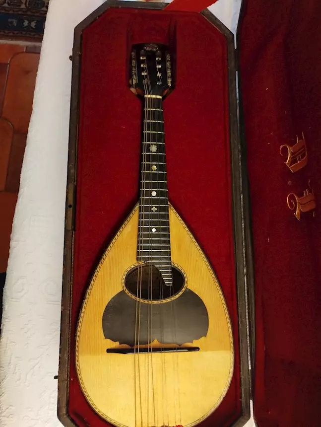 Offresi mandolino (Achille Capannari), mai usato