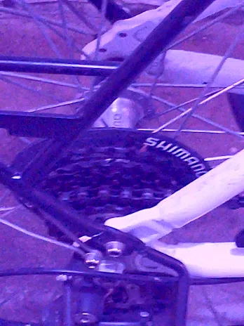 Bici elettrica