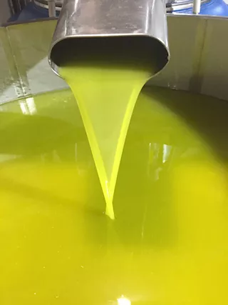 Olio extravergine di oliva