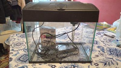 Acquario 20 litri