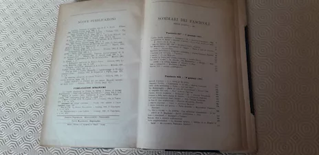 Nuova antologia di lettere scienza ed arti
