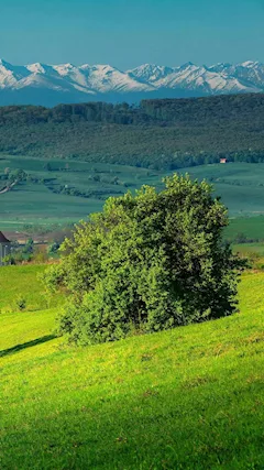 Assistenza anziani