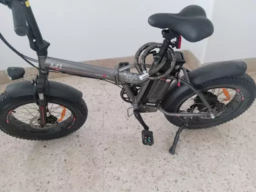 Bicicletta petalata assistita