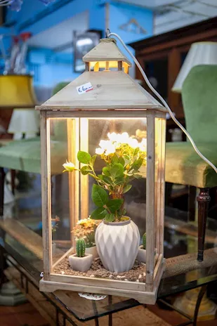 Lanterna con Luce Porta Piante - 24283