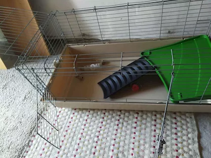 Gabbia per roditori o altri animali - Foto 3
