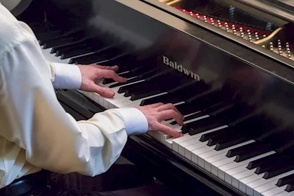 Organista Vimodrone
