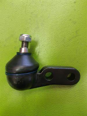 TESTINA STERZO