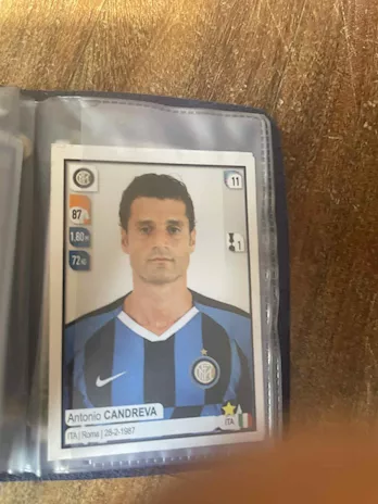 Figurine Panini