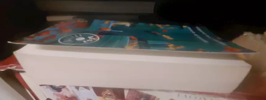 Foto 3 Libro_Venuto al mondo