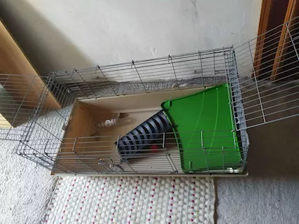 Gabbia per roditori o altri animali - Foto 2