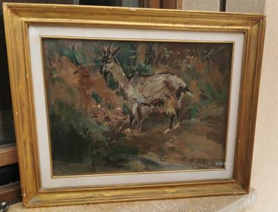 La Capra - Cosimo Privato olio su tela esposto