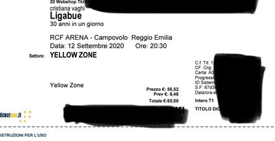 Biglietti Campovolo 2022 yellow zone