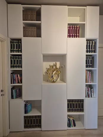 Mobile libreria