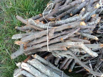 12 Fascetti di legnetti di media dimensione accompagna fuoco - Anteprima 1