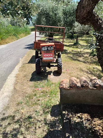 Motoagricola con cassone