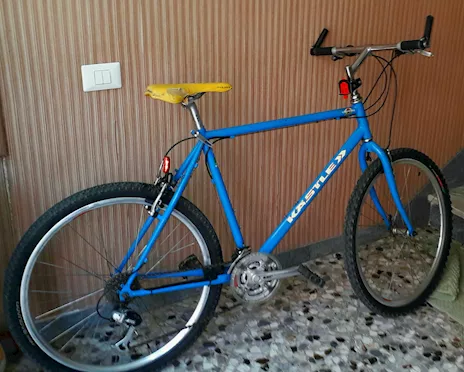 MTB Kastle