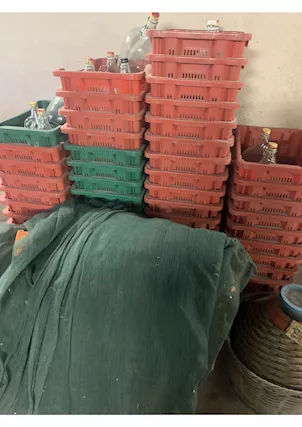 Cassette per olive e telo raccolta olive
