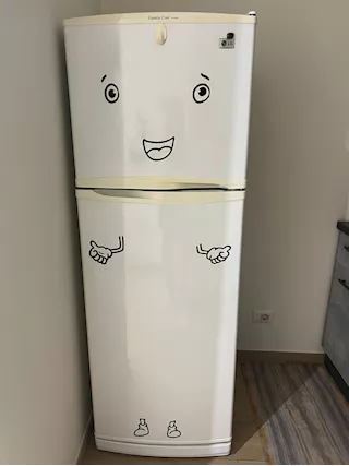 Frigorifero LG Express Cool GR-322W