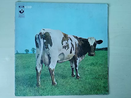 The Pink Floyd - Atom Heart Mother - 1970