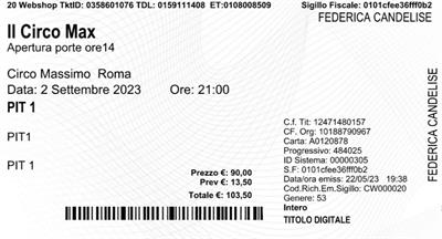 UN BIGLIETTO CONCERTO MAX PEZZALI ROMA 2 SETTEMBRE