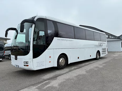 Man Lion’s coach
