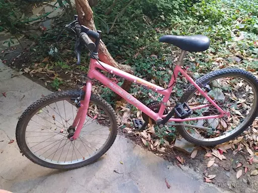 Bicicletta Aurora Bambini