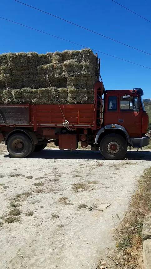 Foto 3I90,36 ribaltabile varie disponibilità 2 assi 3 assi Iveco Anno 1990
