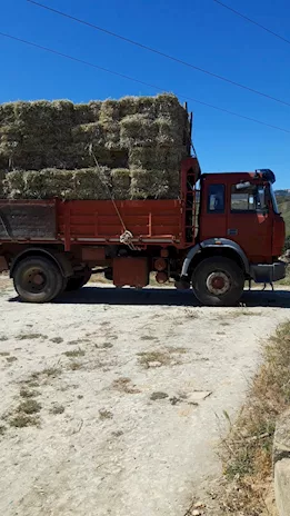 I90,36 ribaltabile varie disponibilità 2 assi 3 assi Iveco Anno 1990 - Anteprima 3