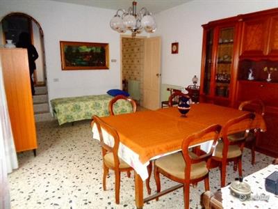 Foto - 13
