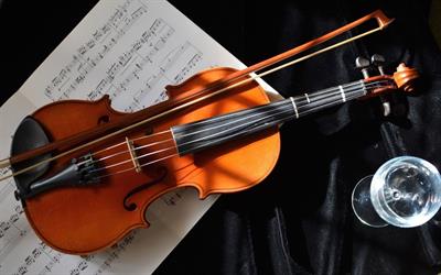 Lezioni private di Violino