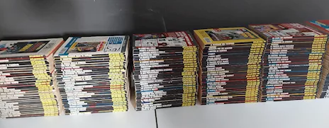 Splendida collezione Dylan Dog - Foto 6