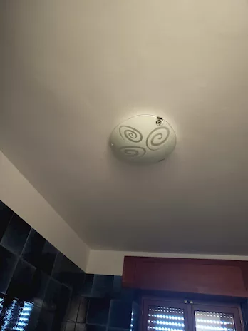 Lampadari ondeluce
