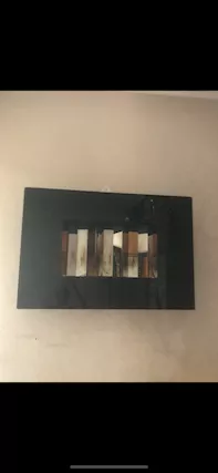 BIOCAMINO