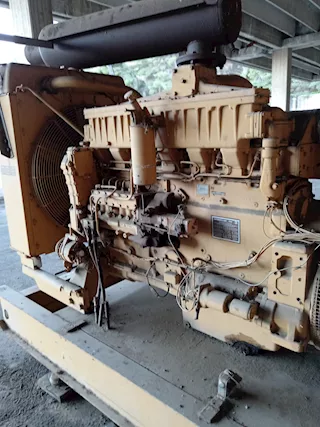 Gruppo caterpillar