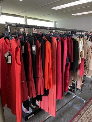 Lotto Stock Elisabetta Franchi, colore composto - Foto 4