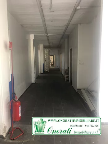 Foto - 9