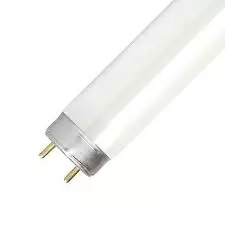 Lampada per terrarium tropicale