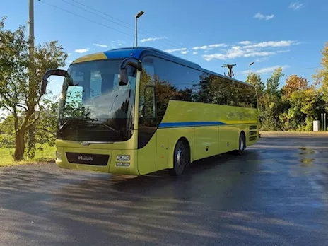 Man R 07 Lion's Coach