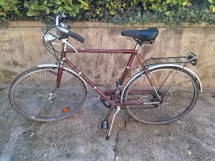 Bicletta da uomo