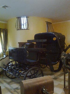 ELEGANTE CARROZZA