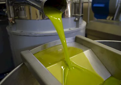 Olio di oliva produzione Monti Iblei
